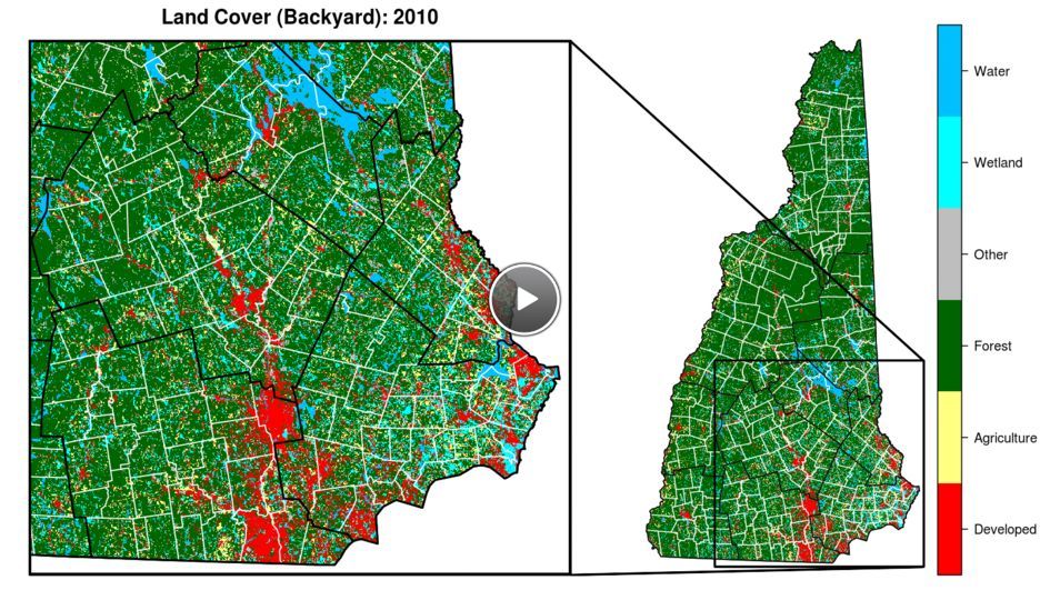 Land Cover Map for Backyard Amenities Trends